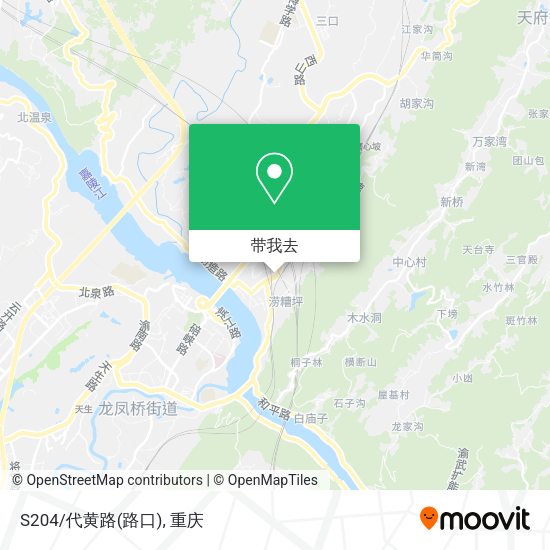 S204/代黄路(路口)地图