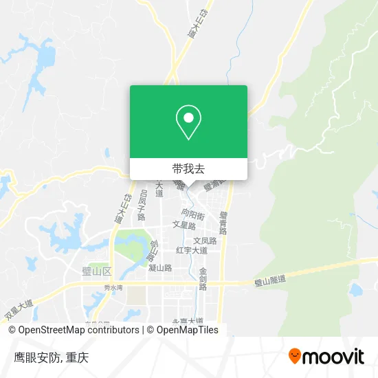 鹰眼安防地图