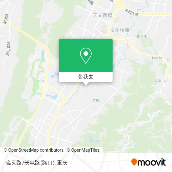 金菊路/长电路(路口)地图