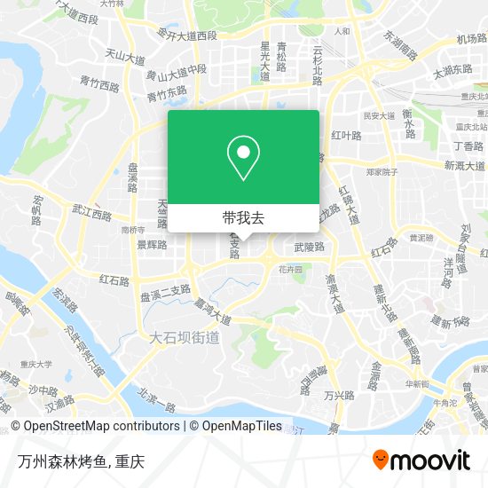 万州森林烤鱼地图