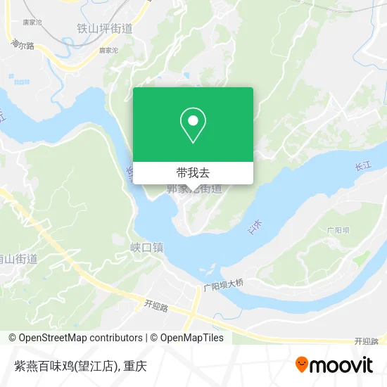 紫燕百味鸡(望江店)地图