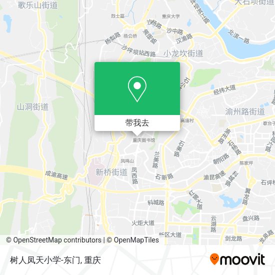 树人凤天小学-东门地图