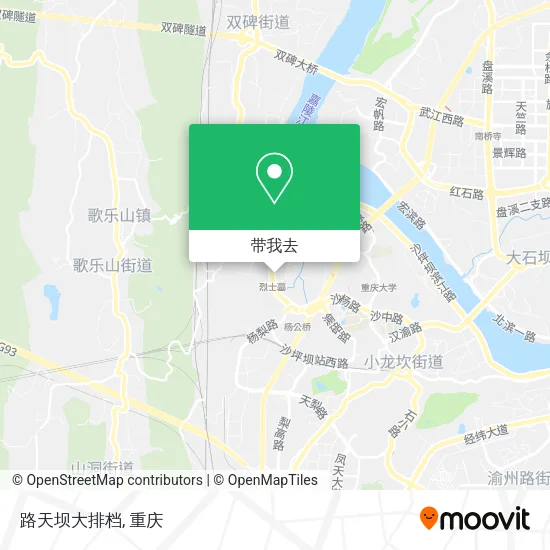 路天坝大排档地图