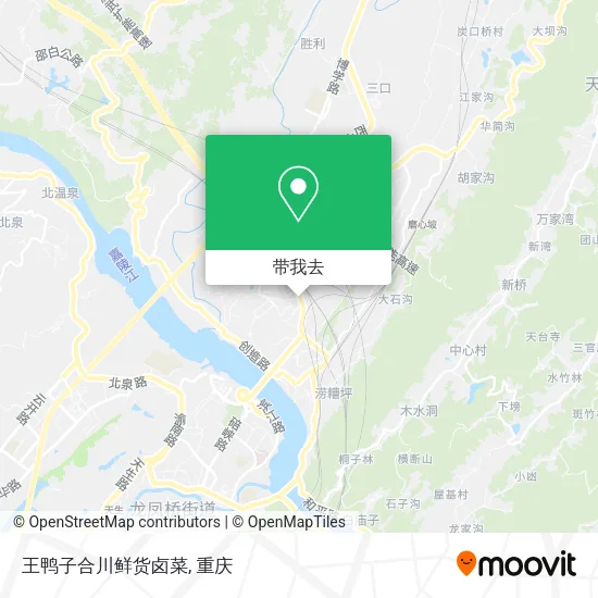 王鸭子合川鲜货卤菜地图