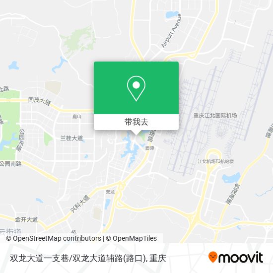 双龙大道一支巷/双龙大道辅路(路口)地图