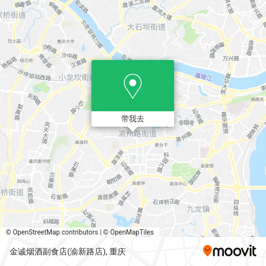 金诚烟酒副食店(渝新路店)地图