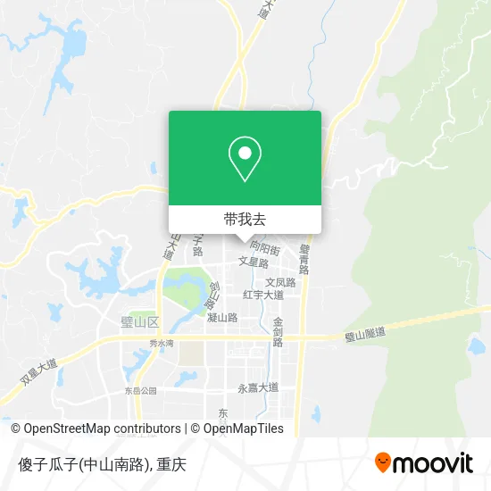 傻子瓜子(中山南路)地图