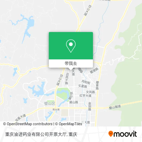 重庆渝进药业有限公司开票大厅地图