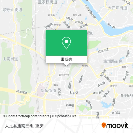 大足县施南三组地图