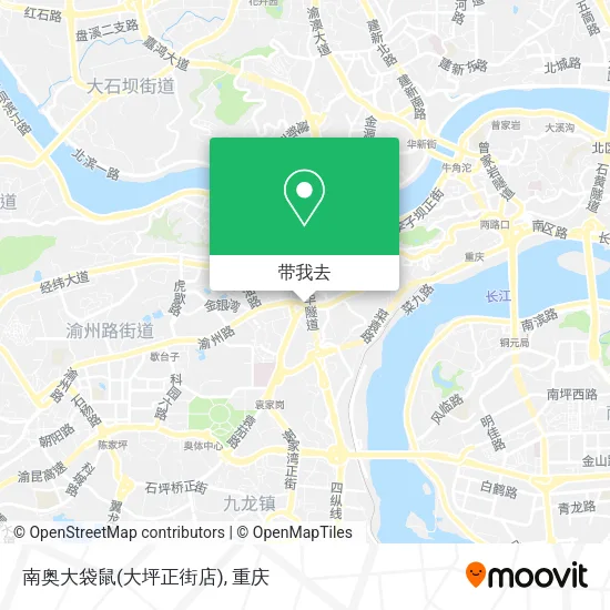 南奥大袋鼠(大坪正街店)地图
