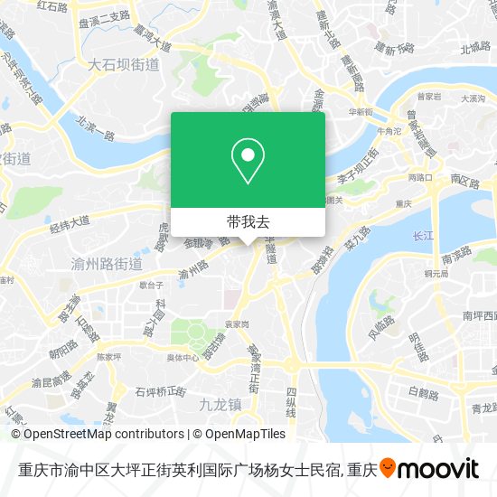 重庆市渝中区大坪正街英利国际广场杨女士民宿地图