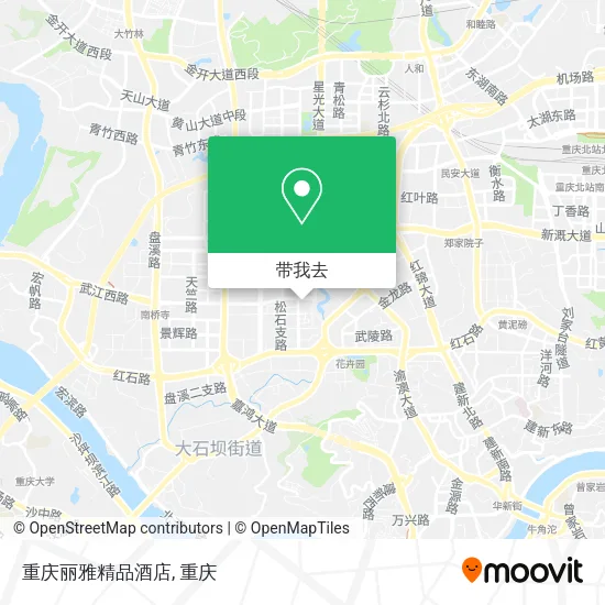 重庆丽雅精品酒店地图