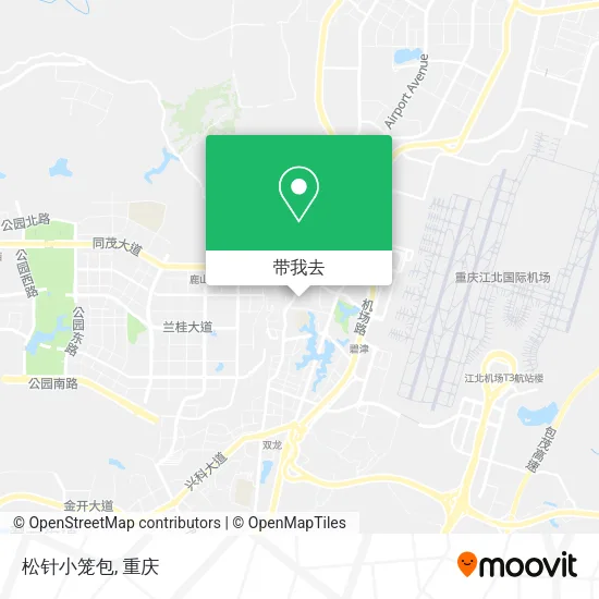 松针小笼包地图