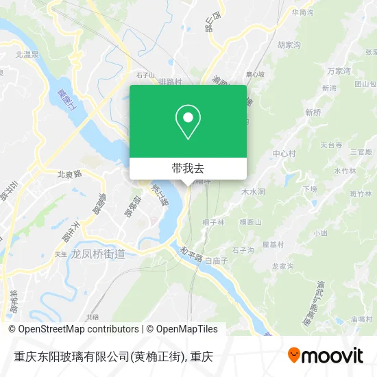 重庆东阳玻璃有限公司(黄桷正街)地图