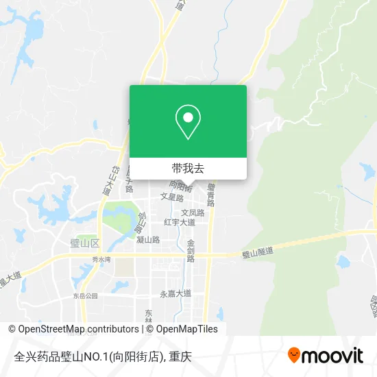 全兴药品璧山NO.1(向阳街店)地图