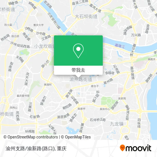 渝州支路/渝新路(路口)地图