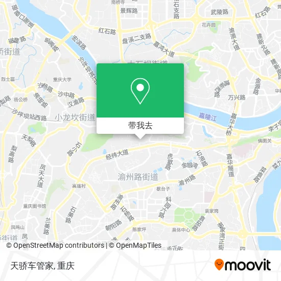 天骄车管家地图