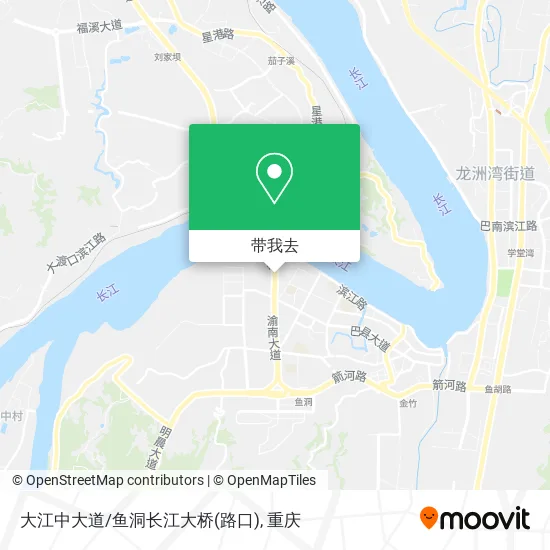 大江中大道/鱼洞长江大桥(路口)地图