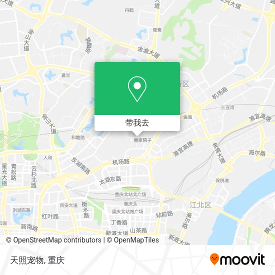 天照宠物地图