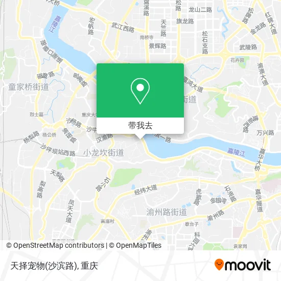 天择宠物(沙滨路)地图