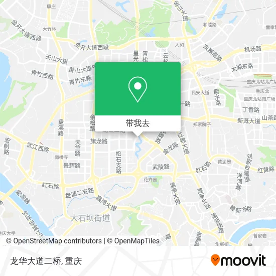龙华大道二桥地图