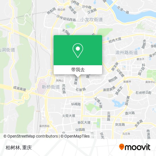 柏树林地图