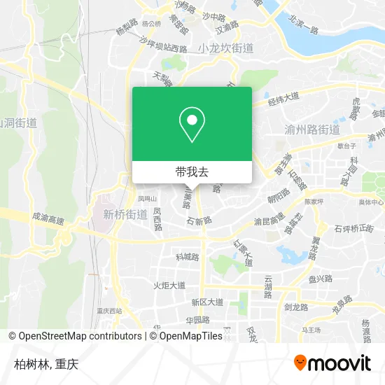 柏树林地图