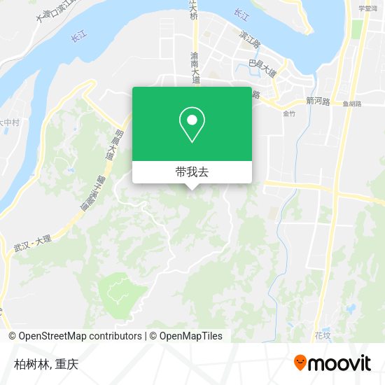柏树林地图