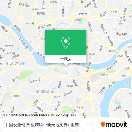 中国农业银行(重庆渝中新天地支行)地图