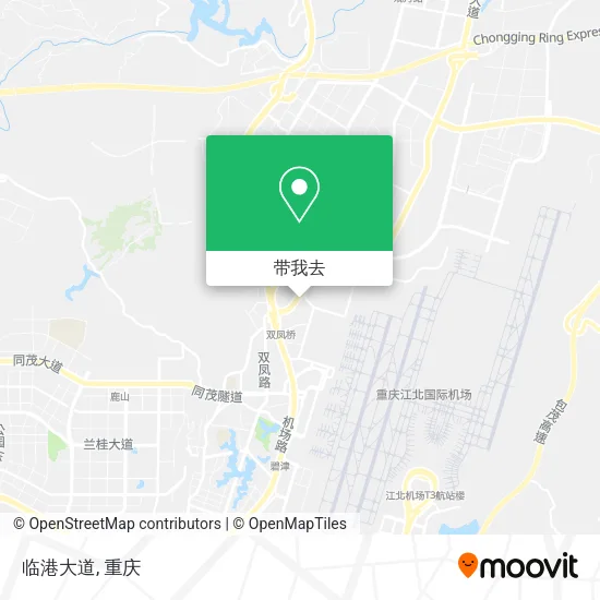 临港大道地图
