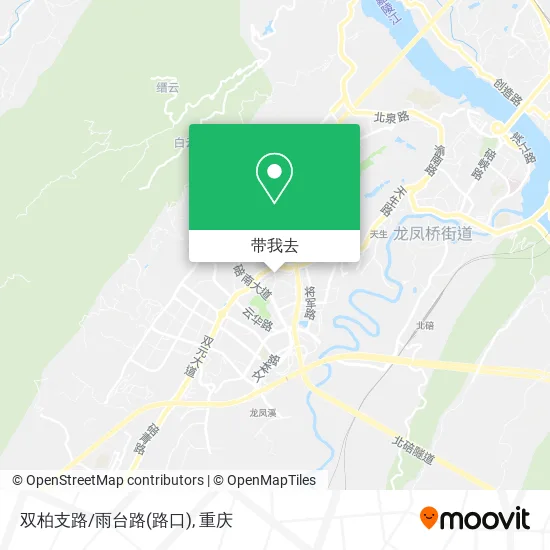 双柏支路/雨台路(路口)地图