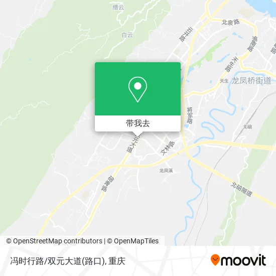 冯时行路/双元大道(路口)地图
