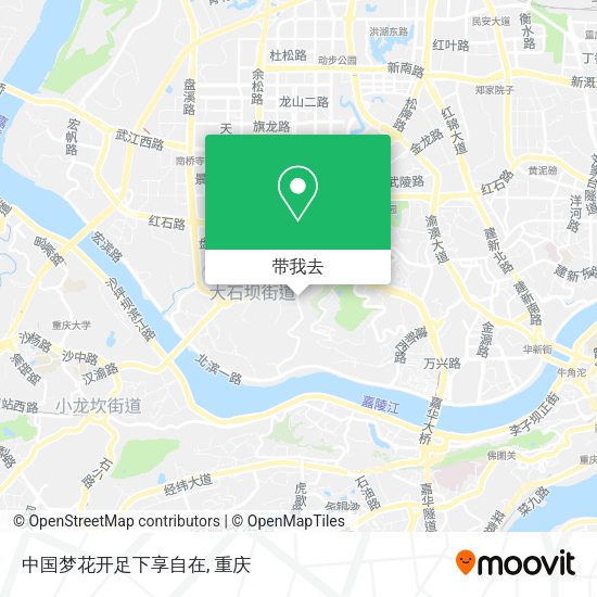 中国梦花开足下享自在地图