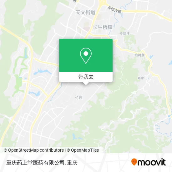 重庆药上堂医药有限公司地图