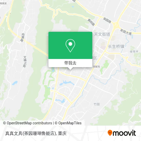 真真文具(茶园珊瑚鲁能店)地图