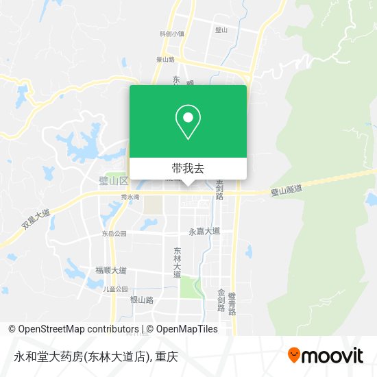 永和堂大药房(东林大道店)地图