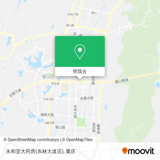 永和堂大药房(东林大道店)地图