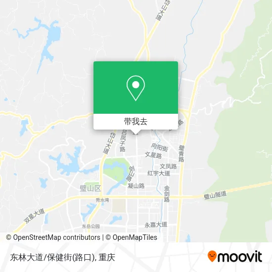 东林大道/保健街(路口)地图