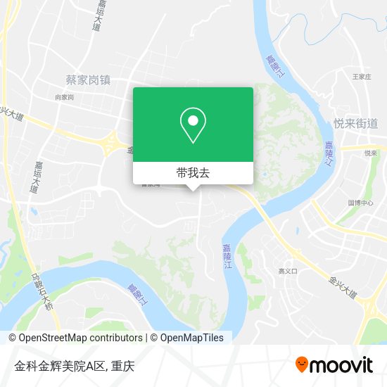 金科金辉美院A区地图
