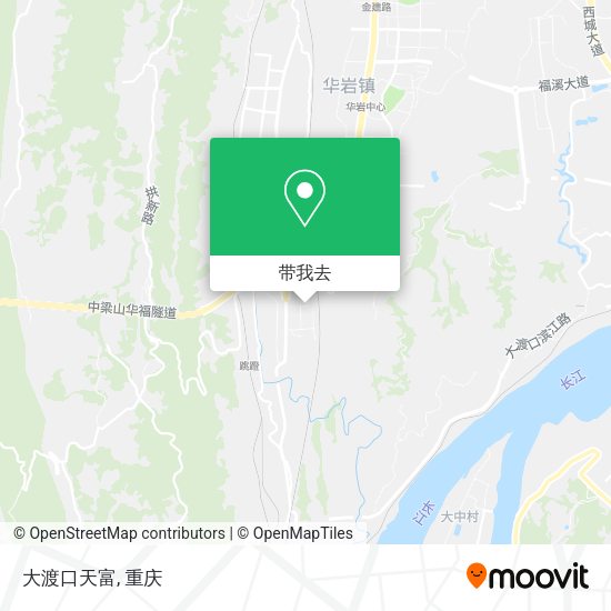大渡口天富地图