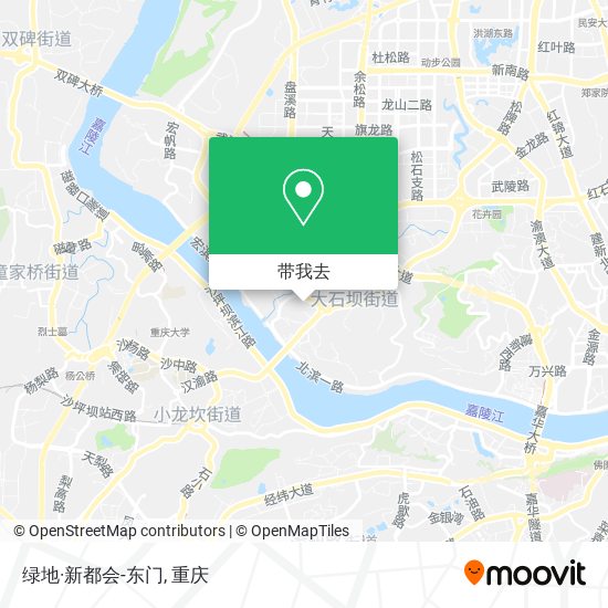 绿地·新都会-东门地图