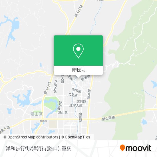 洋和步行街/洋河街(路口)地图