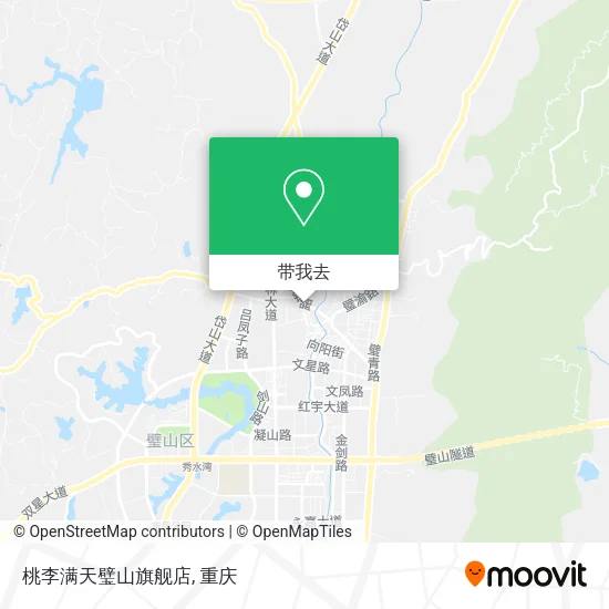 桃李满天璧山旗舰店地图