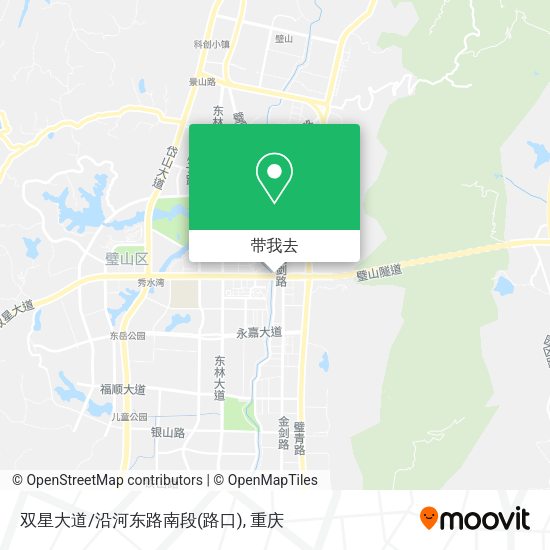 双星大道/沿河东路南段(路口)地图