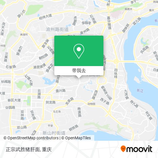 正宗武胜猪肝面地图