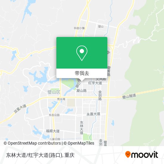 东林大道/红宇大道(路口)地图