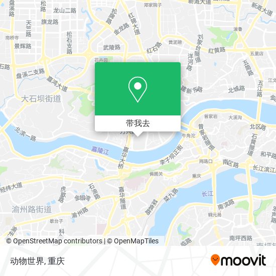 动物世界地图