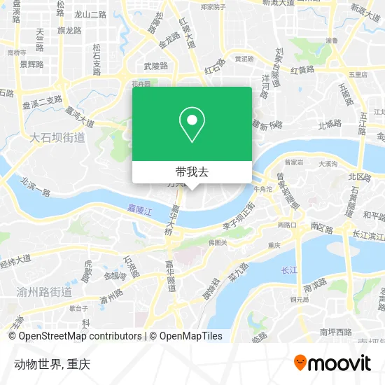 动物世界地图