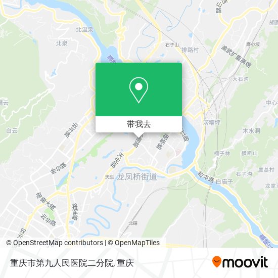 重庆市第九人民医院二分院地图