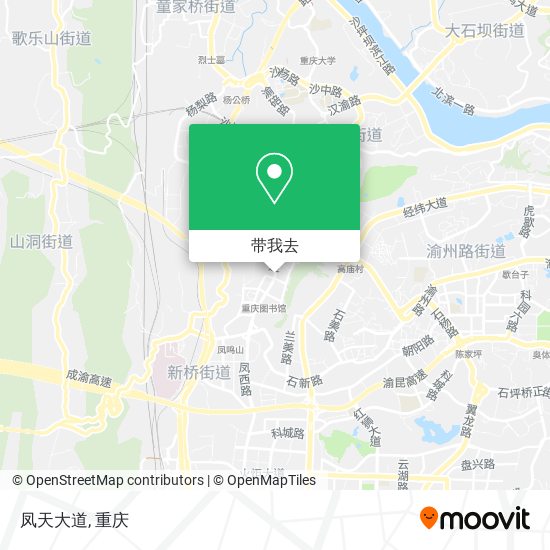 凤天大道地图